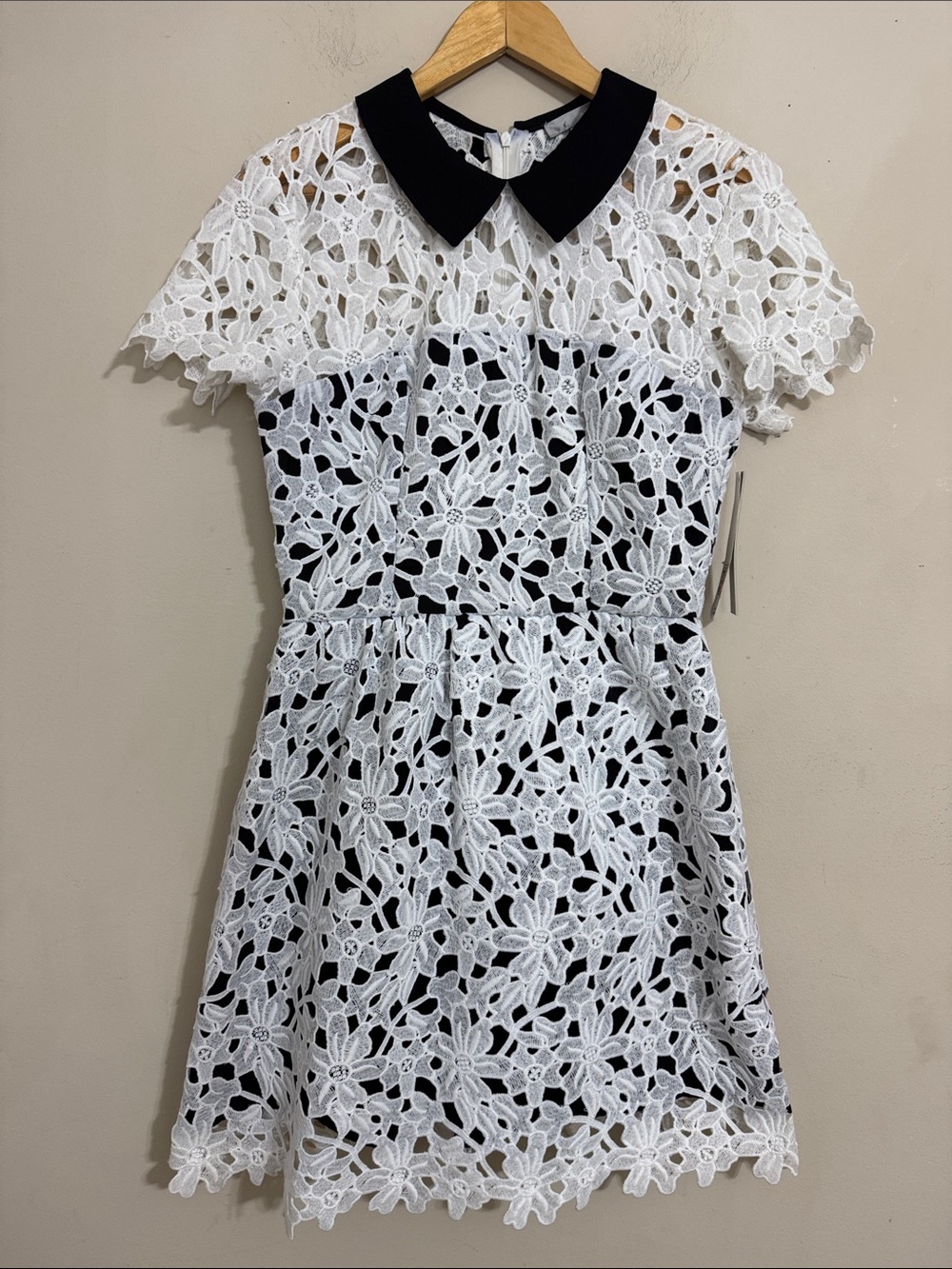 NWT Aqua White Floral Lace Fit and Flare Dress Black Collar size L Graduation